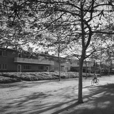 Village Green